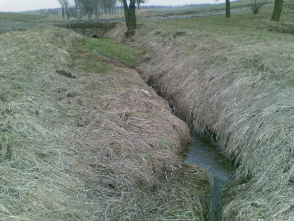 Bořenovický potok před údržbou